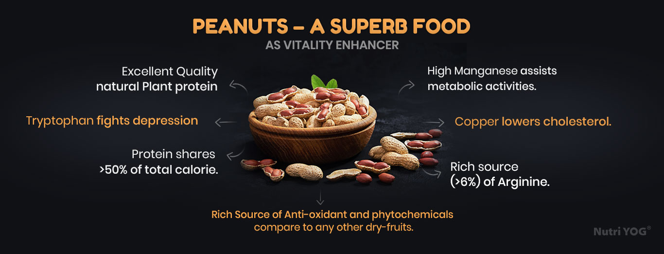 Peanuts – A Superb Food